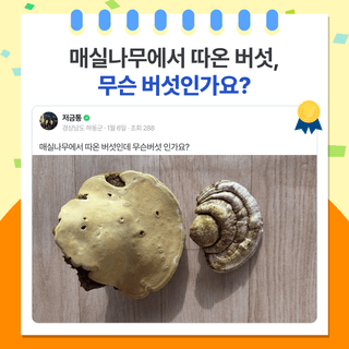 팜모닝 베스트님의 팜모닝공식 · 팜모닝 베스트 작성글 사진