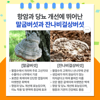 팜모닝 베스트님의 팜모닝공식 · 팜모닝 베스트 작성글 사진