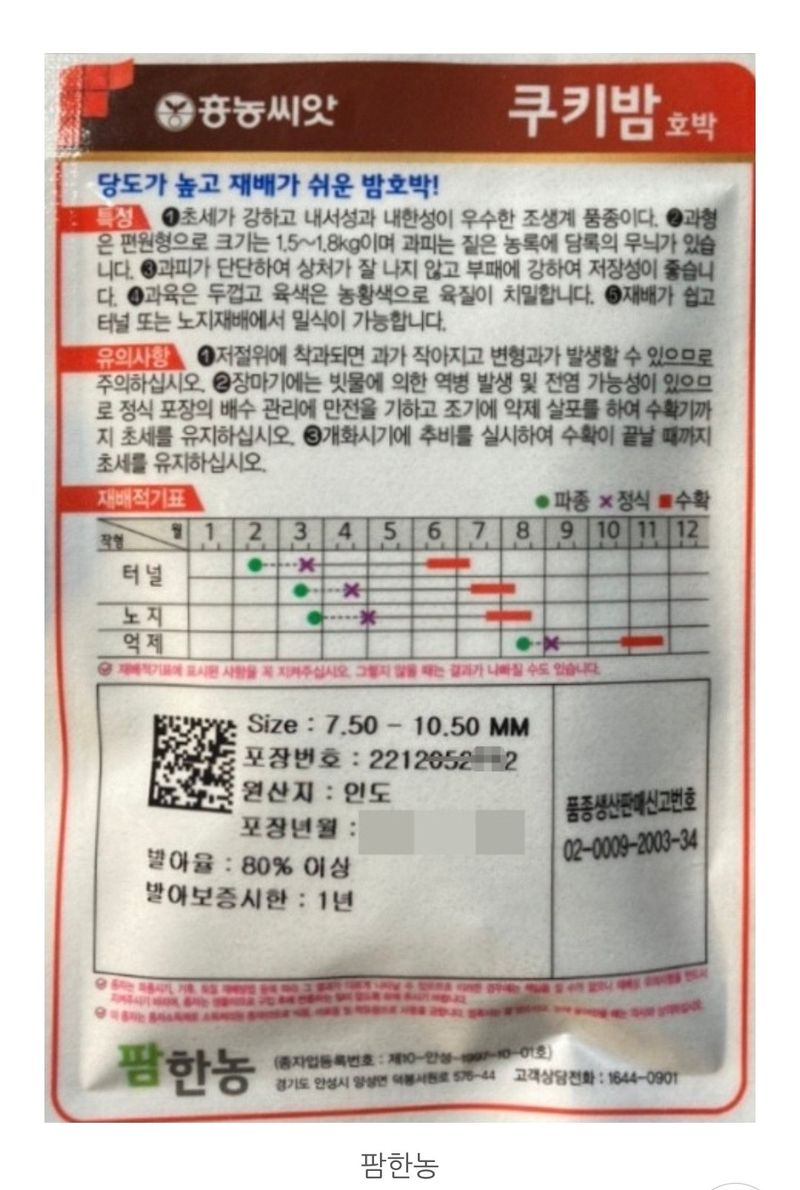대산농사대장님의 장터 판매 상품 [쿠키밤호박 70립 /팜한농 흥농 단호박 씨앗 종자] 첨부 사진