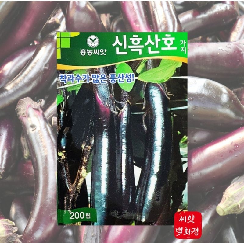 대산농사대장님의 장터 판매 상품 [신흑산호 가지 200립/ 전문농사 품종 종자 팜한농 흥농씨앗] 첨부 사진