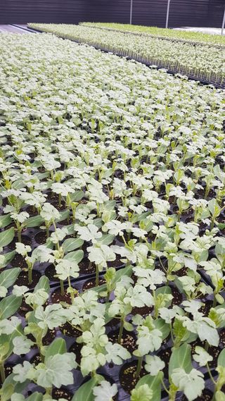 이용주 님의 내가 아는 최고의 농부는? · 참여글 작성글 사진