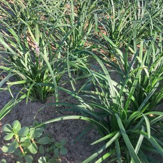 이은화님의 작성글 사진