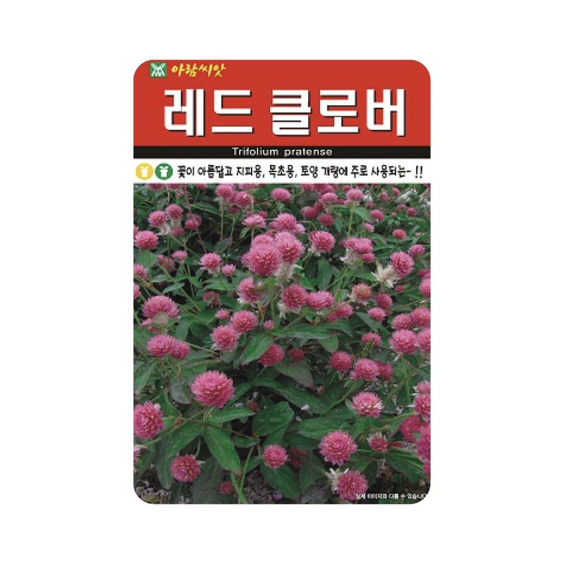 장터 상품 [[아람종묘] 레드클로버 씨앗종자 20g] 썸네일