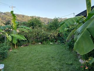 초원에빛님의 내가 아는 최고의 농부는? · 참여글 작성글 사진