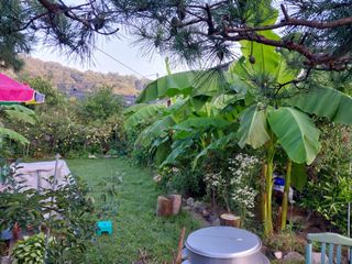 초원에빛님의 내가 아는 최고의 농부는? · 참여글 작성글 사진