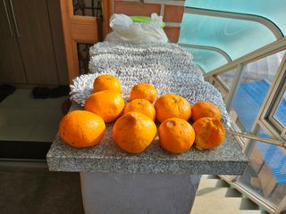 화성시김학주님의 매일매일 농사공부 · 자유게시판 작성글 사진