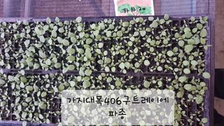 ㄱㅇㄹㄴㅂ님의 자유주제 · 자유게시판 작성글 사진