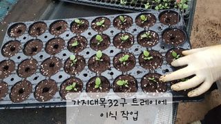 ㄱㅇㄹㄴㅂ님의 자유주제 · 자유게시판 작성글 사진