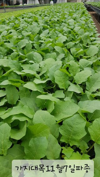 ㄱㅇㄹㄴㅂ님의 자유주제 · 자유게시판 작성글 사진