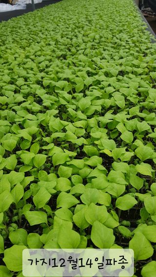 ㄱㅇㄹㄴㅂ님의 자유주제 · 자유게시판 작성글 사진