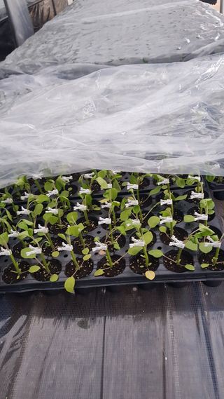 ㄱㅇㄹㄴㅂ님의 자유주제 · 자유게시판 작성글 사진