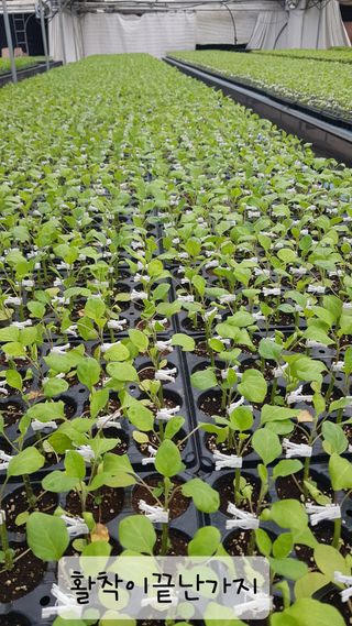 ㄱㅇㄹㄴㅂ님의 자유주제 · 자유게시판 작성글 사진