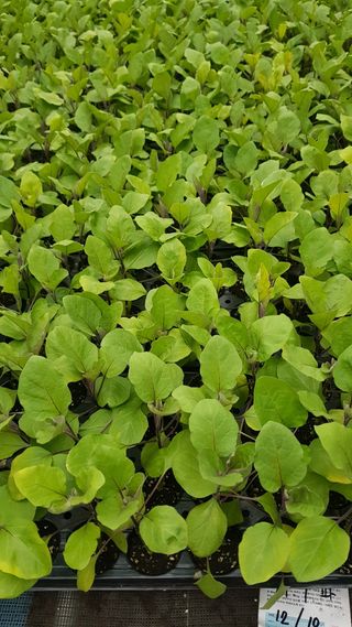 ㄱㅇㄹㄴㅂ님의 자유주제 · 자유게시판 작성글 사진