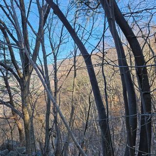 정완희 님의 작성글 사진