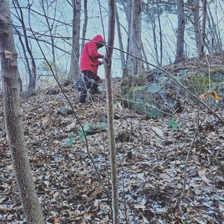 정완희 님의 작성글 사진