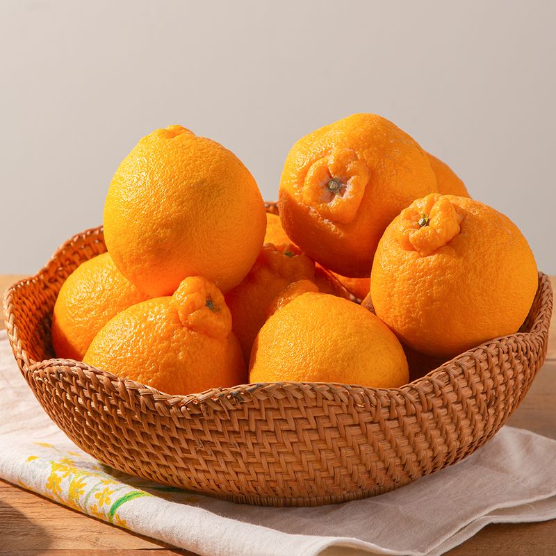 장터 상품 [제주담은농장 한라봉] 썸네일