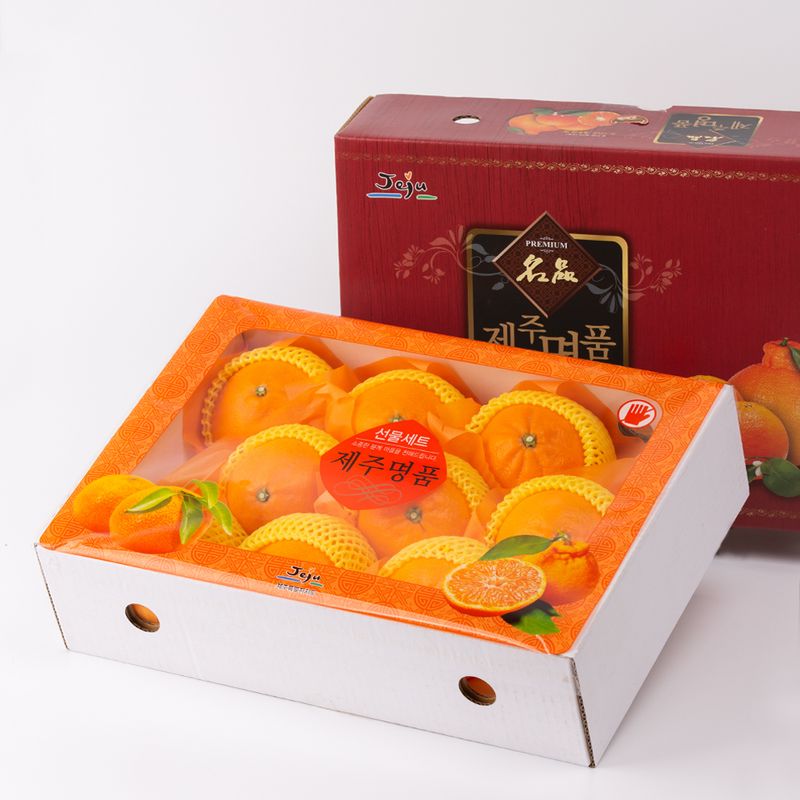 제주담은농장님의 장터 판매 상품 [제주담은농장 한라봉] 첨부 사진