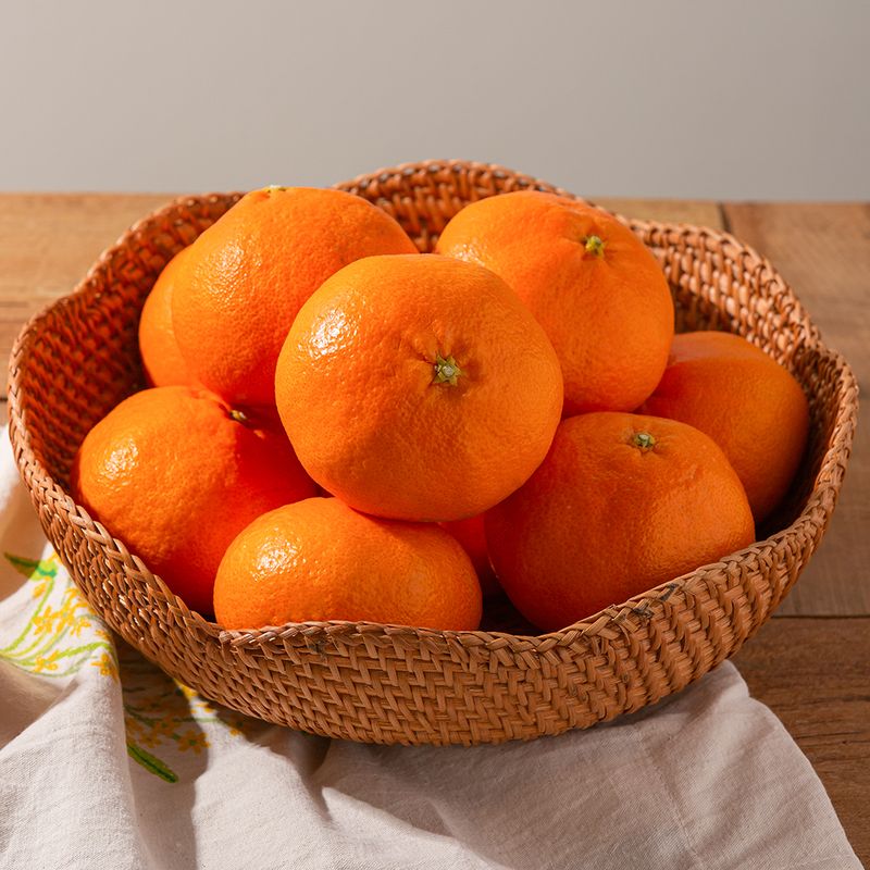 제주담은농장님의 장터 판매 상품 [제주담은농장 과일선물꾸러미] 첨부 사진