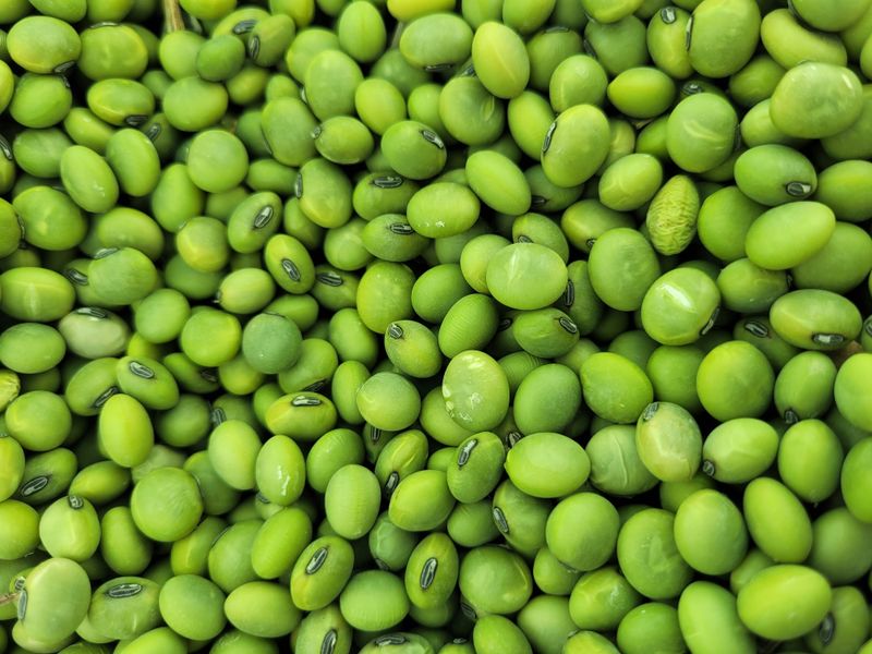 조상연님의 장터 판매 상품 [서리태 25kg  청서리태 11kg] 첨부 사진