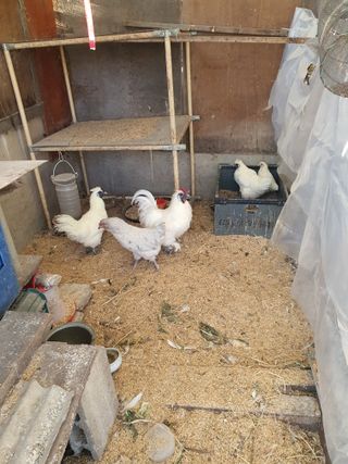 김영복님의 자유주제 · 자유게시판 작성글 사진