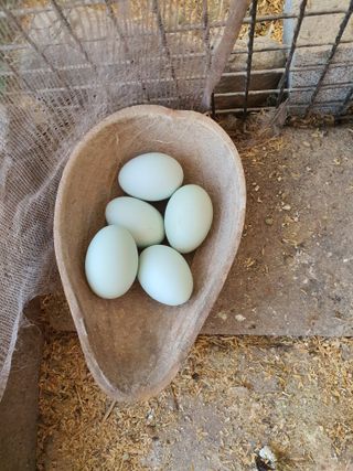 김영복님의 자유주제 · 자유게시판 작성글 사진