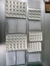 팜모닝 딸기·일상 게시글 이미지