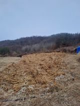 팜모닝 농사, 무엇이든 물어보세요!·참여글 게시글 이미지