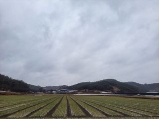 농사꾼 단비님의 자유주제 · 자유게시판 작성글 사진