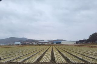 농사꾼 단비님의 자유주제 · 자유게시판 작성글 사진