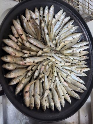 농사꾼 단비님의 자유주제 · 자유게시판 작성글 사진