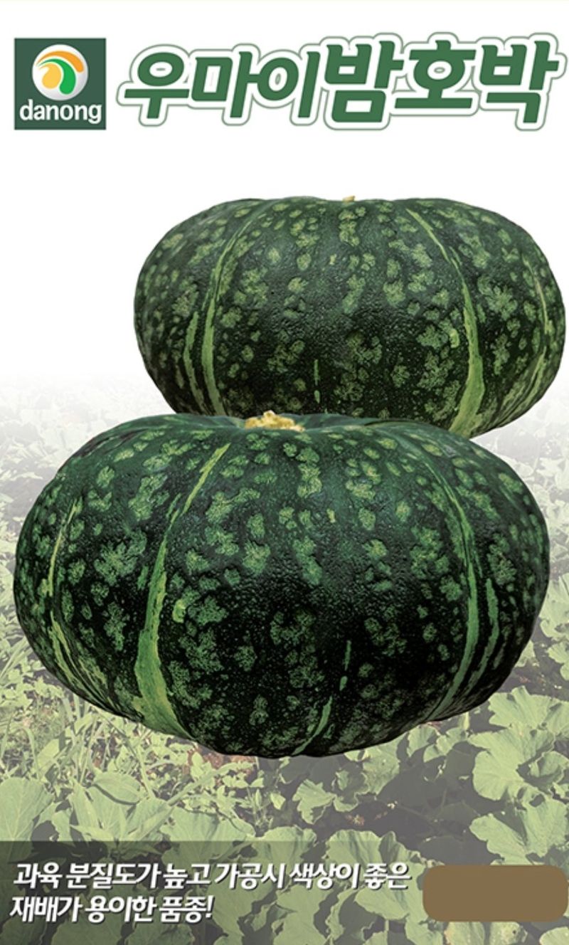 장터 상품 [햇종자  우마이 단호박20립 일본종자] 썸네일