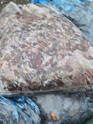 정지연님의 귤 · 영농일지 작성글 사진