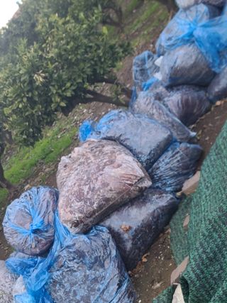 정지연님의 귤 · 영농일지 작성글 사진