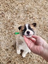 팜모닝 자유주제·자유게시판 게시글 이미지