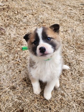 손정훈님의 자유주제 · 자유게시판 작성글 사진