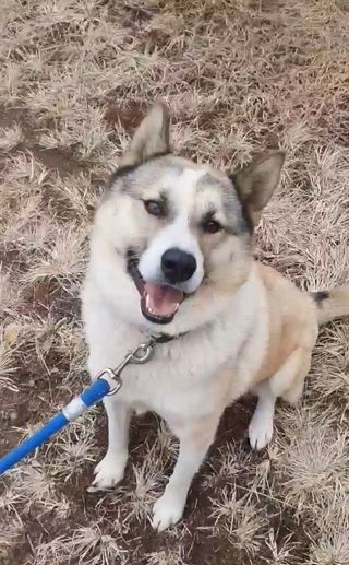 손정훈님의 자유주제 · 자유게시판 작성글 사진