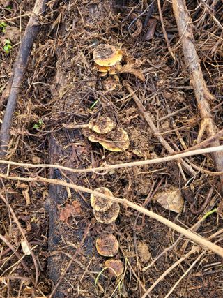 염기흥님의 자유주제 · 자유게시판 작성글 사진