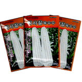 팜모닝 · 게시글 이미지