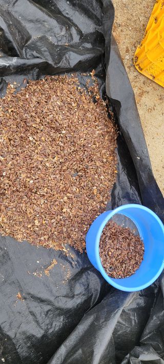 이동훈님의 감 · 영농일지 작성글 사진