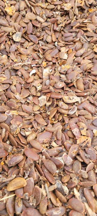 이동훈님의 감 · 영농일지 작성글 사진