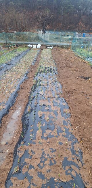 로즈마리님의 자유주제 · 사진전 작성글 사진