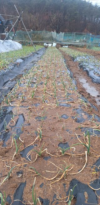 로즈마리님의 자유주제 · 사진전 작성글 사진