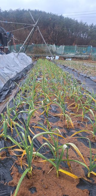 로즈마리님의 자유주제 · 사진전 작성글 사진