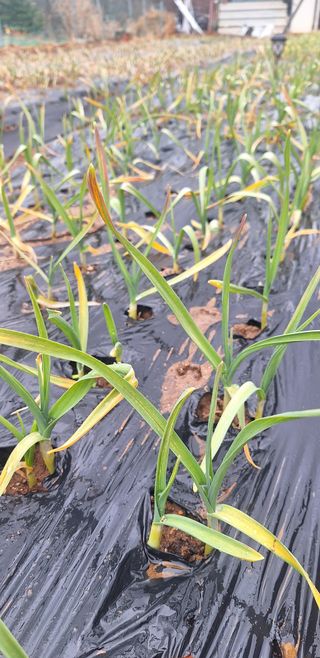 로즈마리님의 자유주제 · 사진전 작성글 사진