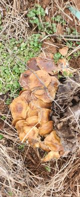 팜모닝 자유주제·건의해요 게시글 이미지