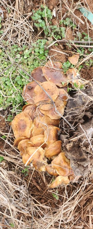 율촌 김은숙님의 자유주제 · 건의해요 작성글 사진