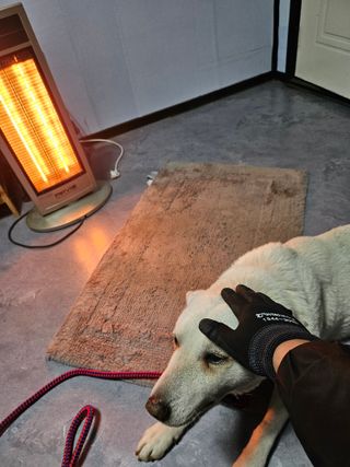 대산농사대장님의 고추 · 일상 작성글 사진