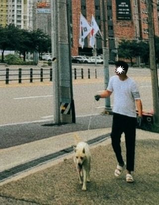 대산농사대장님의 고추 · 일상 작성글 사진