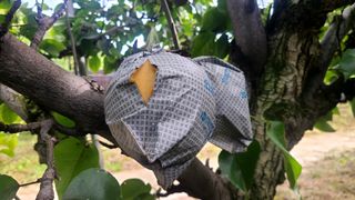 윤성한님의 작성글 사진