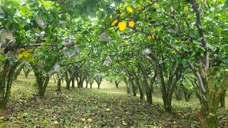 윤성한님의 작성글 사진